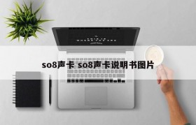 so8声卡 so8声卡说明书图片
