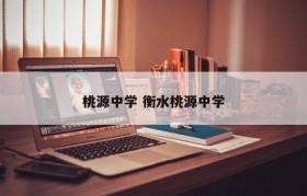 桃源中学 衡水桃源中学