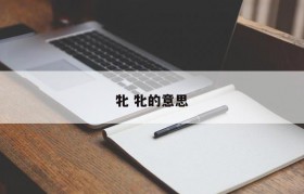 牝 牝的意思