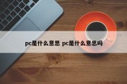 pc是什么意思 pc是什么意思吗