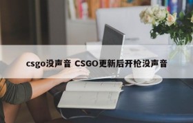csgo没声音 CSGO更新后开枪没声音