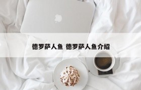 德罗萨人鱼 德罗萨人鱼介绍