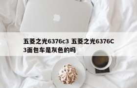 五菱之光6376c3 五菱之光6376C3面包车是灰色的吗