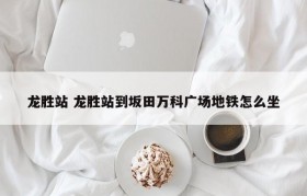 龙胜站 龙胜站到坂田万科广场地铁怎么坐