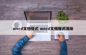 word文档格式 word文档格式清除