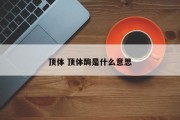 顶体 顶体酶是什么意思
