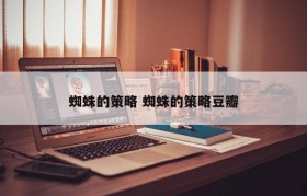 蜘蛛的策略 蜘蛛的策略豆瓣
