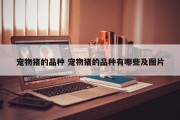 宠物猪的品种 宠物猪的品种有哪些及图片