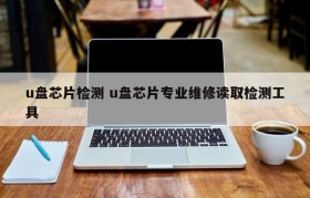u盘芯片检测 u盘芯片专业维修读取检测工具