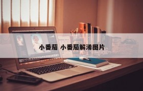 小番茄 小番茄解淆图片