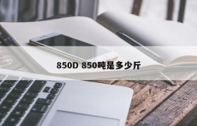 850D 850吨是多少斤