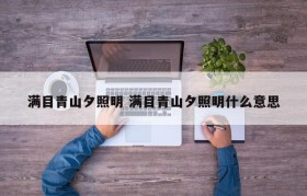 满目青山夕照明 满目青山夕照明什么意思