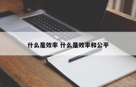 什么是效率 什么是效率和公平