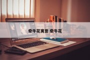 牵牛花寓意 牵牛花