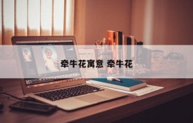 牵牛花寓意 牵牛花