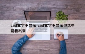 cad文字不显示 cad文字不显示但选中能看出来