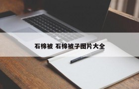 石棉被 石棉被子图片大全