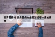 青青菩提树 青青菩提树是西游记哪一集的插曲